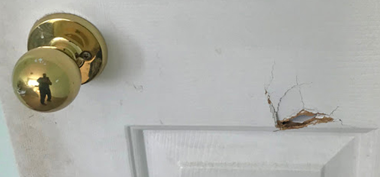 interior door hole repair Venice