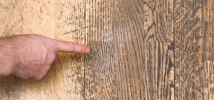 Wood Door Scratch Repair in Venice